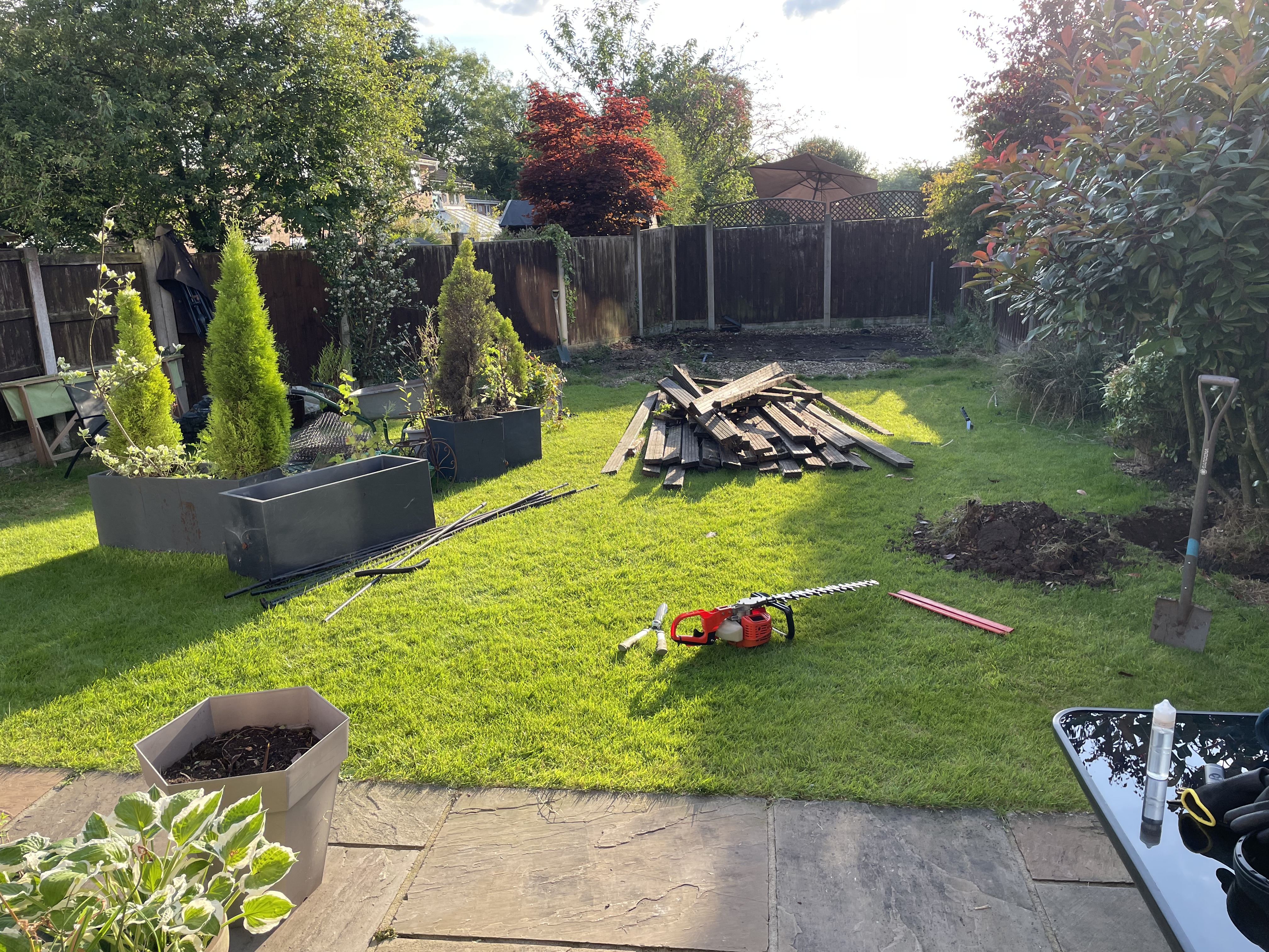 Lawn treatment result
