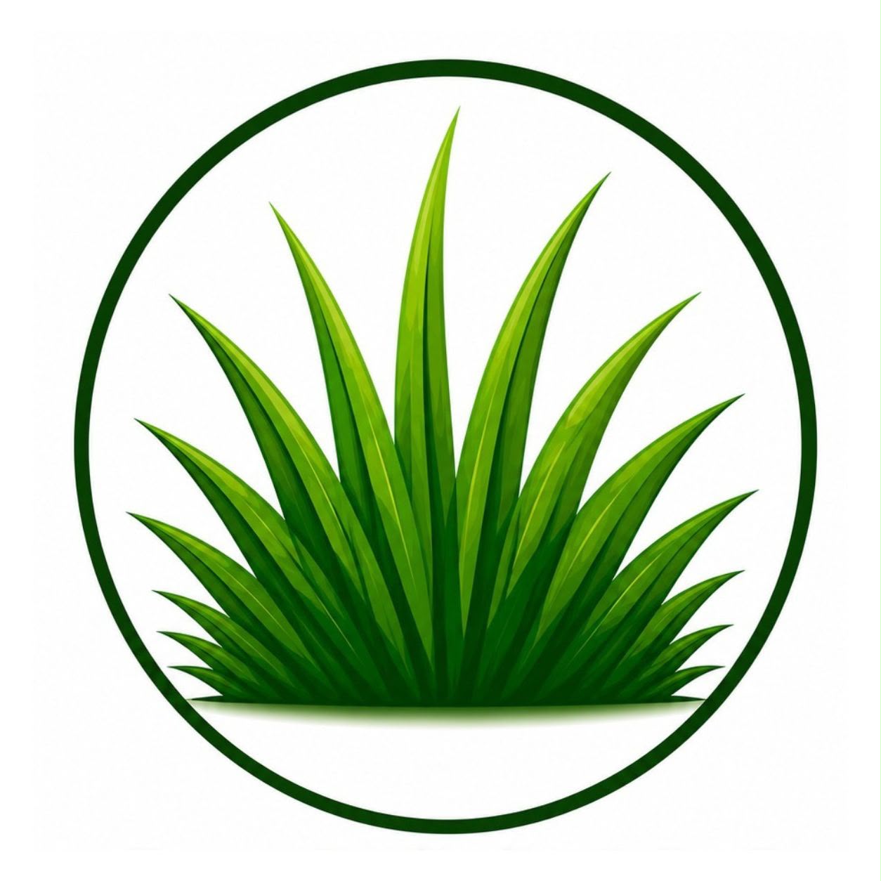 Lawn Treatment